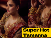 Tamanna Bhatia Stuns in n a Mughal ‘Sehra’