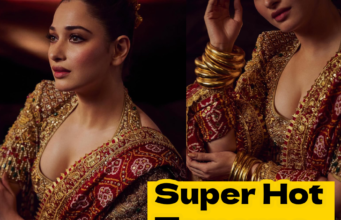 Tamanna Bhatia Stuns in n a Mughal ‘Sehra’