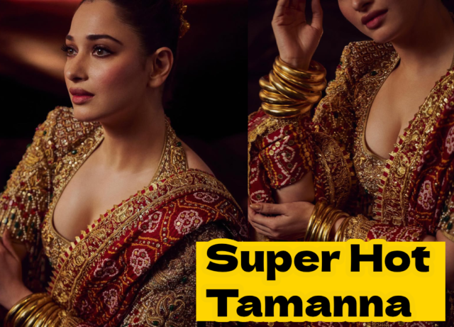 Stunning Tamanna Bhatia (1)
